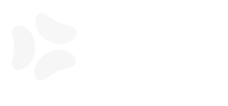 logo_sgs_white